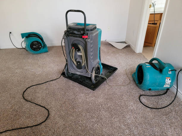Best Flood damage cleanup  in Centerville, CA
