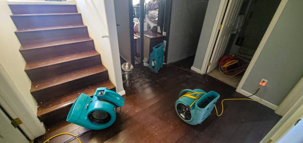 Water damage restoration mold remediation in Centerville, CA