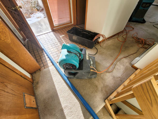  Centerville, CA Water damage restoration Pros