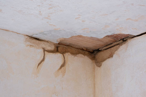 Best Water damage restoration near me  in Centerville, CA
