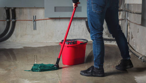 Best Flooded house restoration  in Centerville, CA