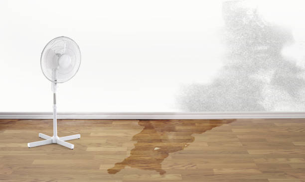 Local water damage restoration in Centerville, CA