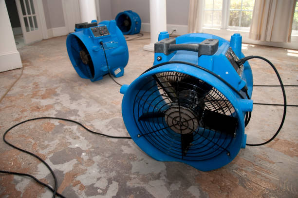 Best Flood damage cleanup  in Centerville, CA