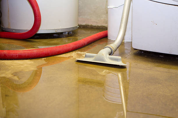Best Water damage restoration process  in Centerville, CA