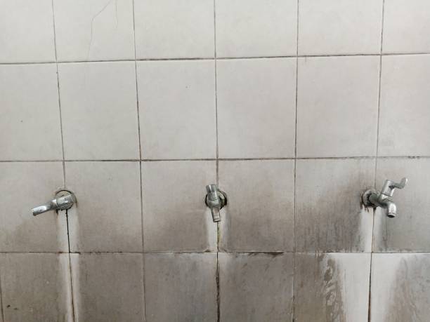 Best Ceiling water damage repair  in Centerville, CA