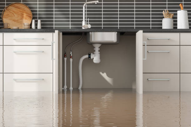 Best Water damage restoration mold remediation  in Centerville, CA