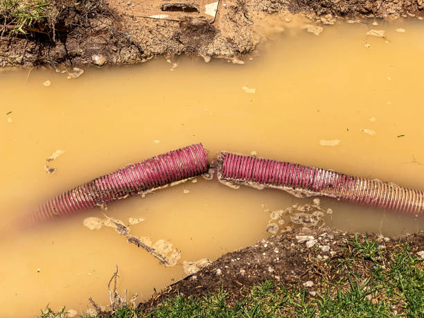 Best Residential water damage restoration  in Centerville, CA