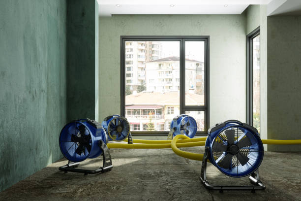 Best Water damage restoration cost  in Centerville, CA